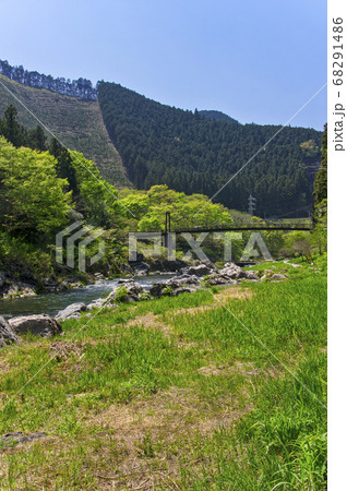 新緑の御岳渓谷 多摩川の河原から吊り橋杣の小橋の遠景 新緑の御岳渓谷 多摩川の河原から吊り橋杣の小橋の遠景 68291486