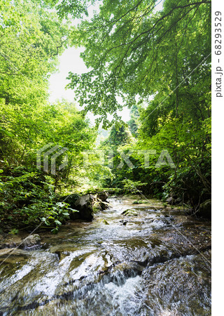 ブナの森の流れの透明な涼しい渓流 68293529