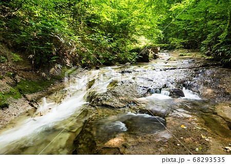 ブナの森の流れの透明な涼しい渓流 68293535