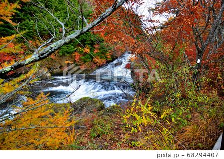 奥日光、秋の竜頭ノ滝の紅葉 奥日光、秋の竜頭ノ滝の紅葉 68294407