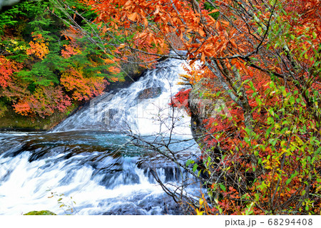 奥日光、秋の竜頭ノ滝の紅葉 68294408