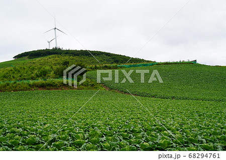 太白市 白菜畑 風力発電 68294761