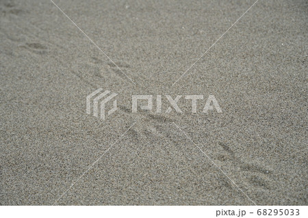 砂浜の足跡 砂浜の足跡 68295033