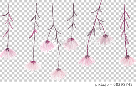 お花のドライフラワーの水彩イラストのイラスト素材