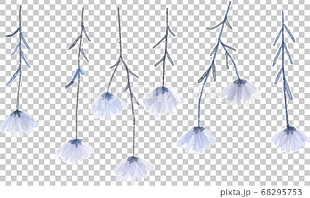 Watercolor illustration of dried flowers 68295753