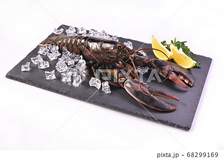 Seafood raw lobster 68299169
