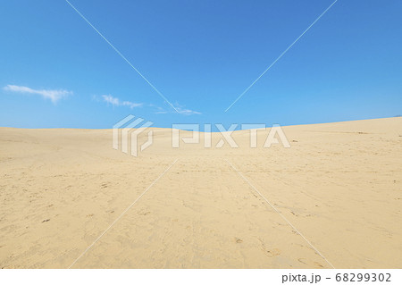 鳥取県鳥取市　青空と鳥取砂丘 68299302