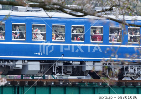 鳥取　四季の散歩　春　若桜鉄道 68301086