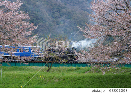 鳥取 四季の散歩 春 若桜鉄道 鳥取 四季の散歩 春 若桜鉄道 68301093