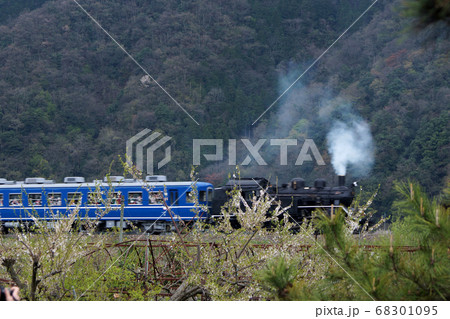 鳥取 四季の散歩 春 若桜鉄道 鳥取 四季の散歩 春 若桜鉄道 68301095