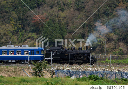 鳥取　四季の散歩　春　若桜鉄道 68301106