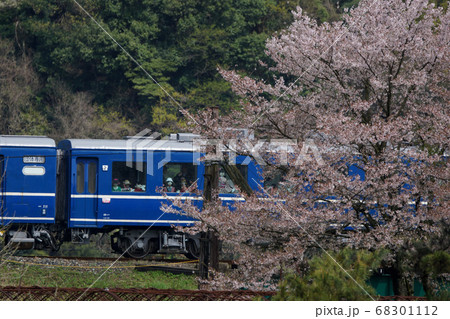 鳥取 四季の散歩 春 若桜鉄道 鳥取 四季の散歩 春 若桜鉄道 68301112