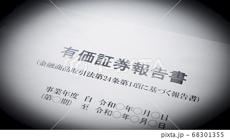 有価証券報告書の作成 68301355