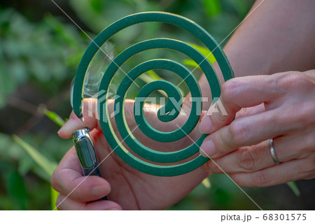 蚊取り線香を持った女性が、右手に持ったライターで着火している 蚊取り線香を持った女性が、右手に持ったライターで着火している 68301575