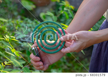 蚊取り線香を持った女性が 右手に持ったライターで着火しているの写真素材