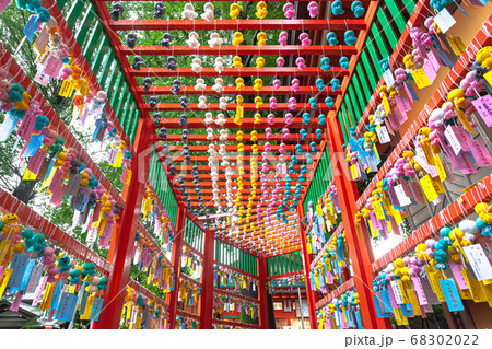 田無神社　七夕てるてるトンネル 68302022