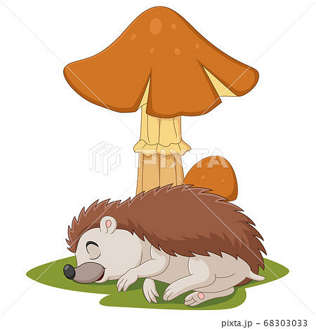 Cartoon little hedgehog sleeps under the mushroom Cartoon little hedgehog sleeps under the mushroom 68303033