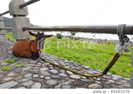 羊 ひつじ ヒツジ 68303276