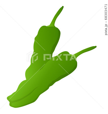 シシトウガラシのイラスト素材