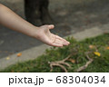 手を差し伸べる（子供の手） 68304034