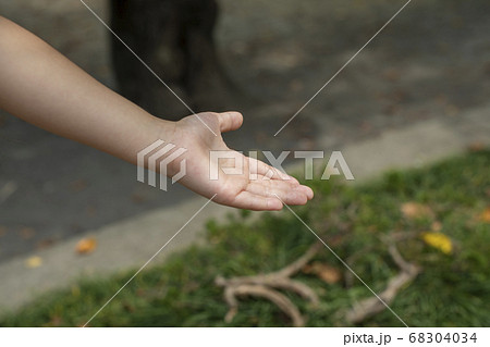 手を差し伸べる（子供の手） 68304034