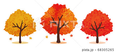 紅葉の木のイラストセットのイラスト素材 68305265 Pixta
