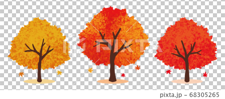 Illustration set of autumnal trees Illustration set of autumnal trees 68305265