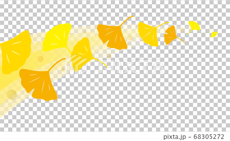 Ginkgo wave background material Ginkgo wave background material 68305272
