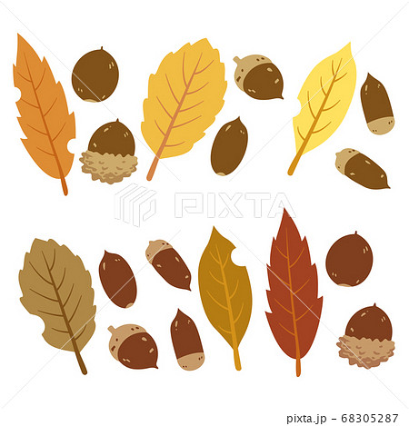 秋 どんぐりと葉っぱのセットのイラスト素材