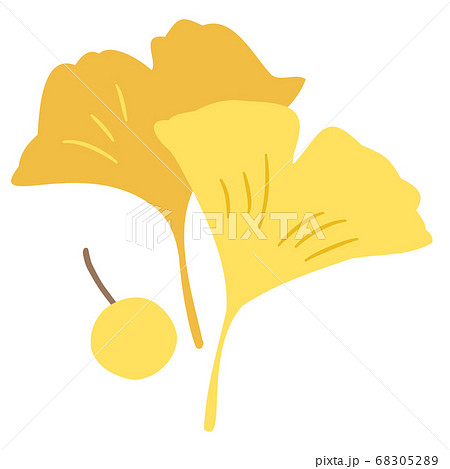 イチョウの葉と銀杏のイラスト素材 6052