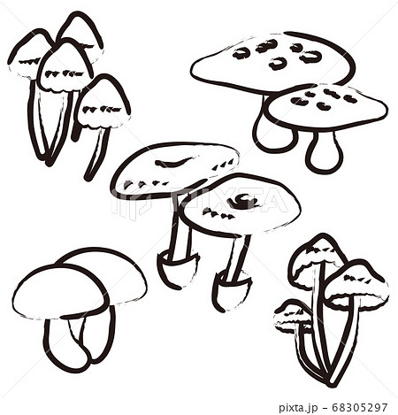 筆で描かれたきのこセットのイラスト素材