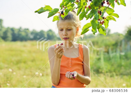 Girl with pleasure eating delicious sweet ripe berries from mulberry tree 68306536