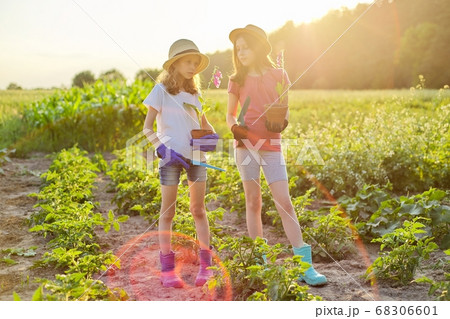 Portrait of two little gardeners in gloves with flowering plants in pots and garden shovels 68306601