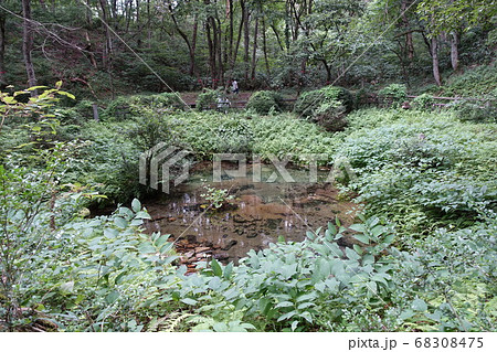日本の岡山県の蒜山の塩釜の冷泉 日本の岡山県の蒜山の塩釜の冷泉 68308475