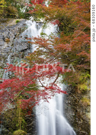 箕面の滝 箕面の滝 68309160