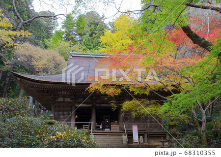 紅葉の室生寺 68310355