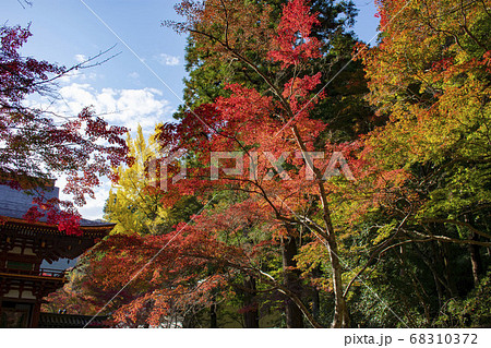 紅葉の室生寺の写真素材
