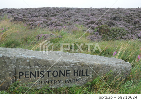 イギリス、ハワース、ヒースの丘、嵐が丘の舞台、エミリー・ブロンテ イギリス、ハワース、ヒースの丘、嵐が丘の舞台、エミリー・ブロンテ 68310624