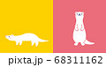 フェレットさん正面＆ヨコ 68311162