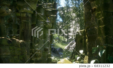 ruined ancient stone house overgrown with plants ruined ancient stone house overgrown with plants 68311232