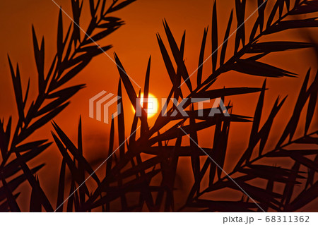 Sunset at the Dead Sea 68311362
