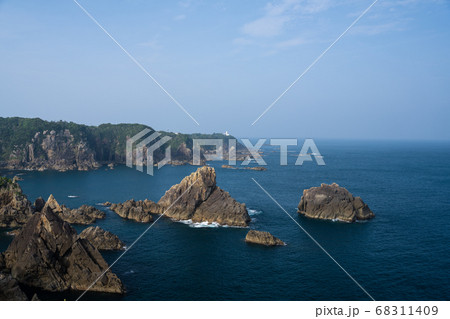 海金剛 68311409