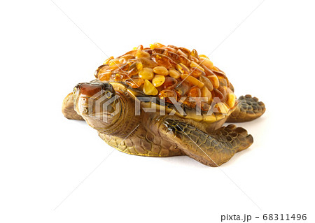 turtle on a white background turtle on a white background 68311496