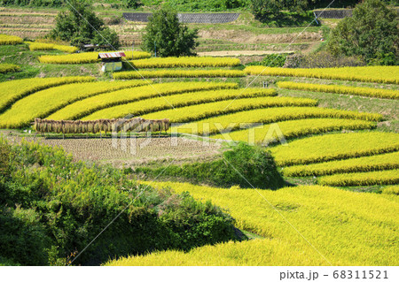長谷の棚田 長谷の棚田 68311521