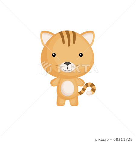 Cute funny baby cat isolated on white background. Adorable animal character for design of album, scrapbook, card and invitation. Cute funny baby cat isolated on white background. Adorable animal character for design of album, scrapbook, card and invitation. 68311729