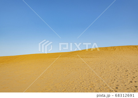 鳥取県鳥取市　朝焼けの鳥取砂丘 68312691