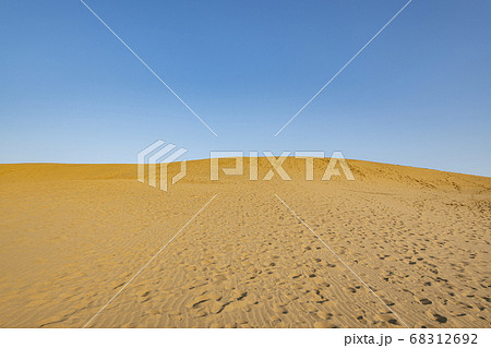 鳥取県鳥取市　朝焼けの鳥取砂丘 68312692