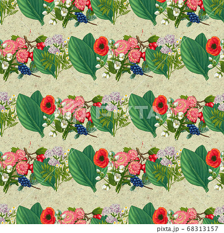 Hand drawn medicinal plant seamless pattern. Healing herbs drawing on craft paper. Hand drawn medicinal plant seamless pattern. Healing herbs drawing on craft paper. 68313157
