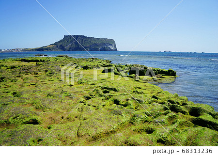 城山日出峰 海 海岸 68313236