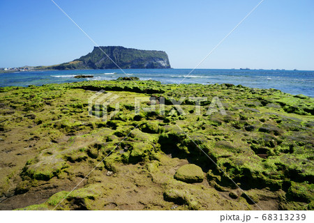 城山日出峰 海 海岸 68313239